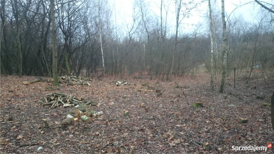 Dom całoroczny w pow Otwockim na działce 1900m2 Piwonin