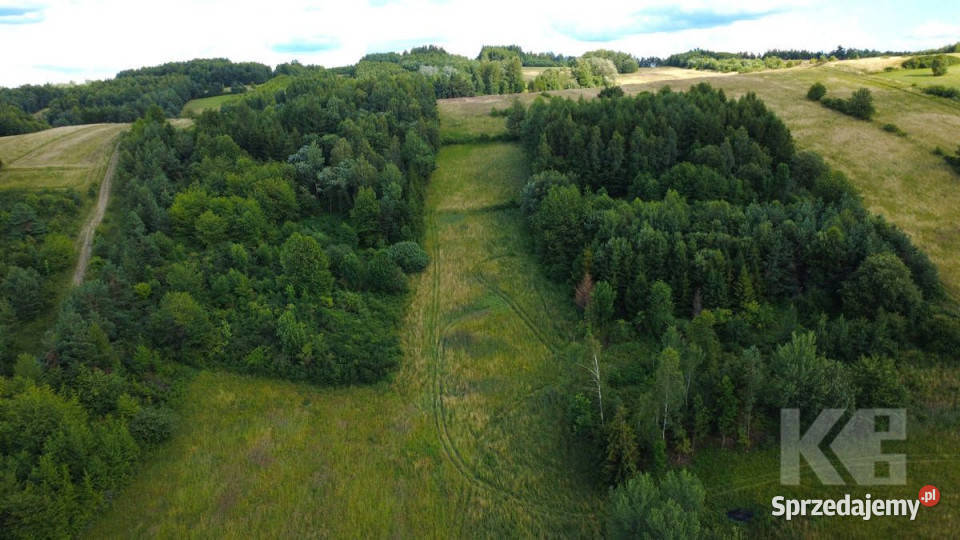Działka Czaszyn 11684m2 Sprzedaż