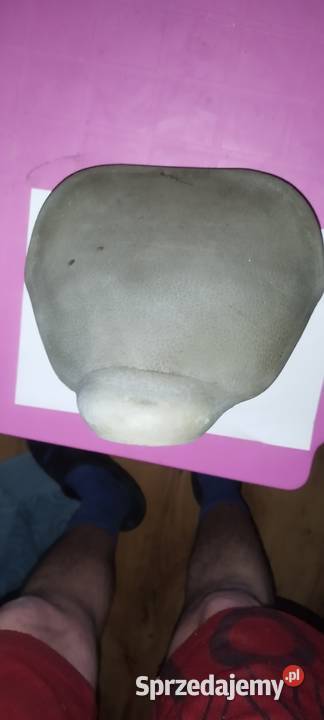 Siedzenie do sztywniaka dolnośląskie Lwówek Śląski