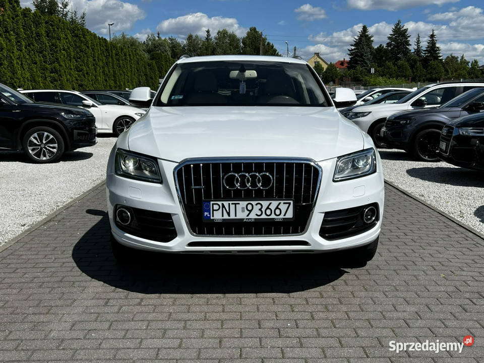 Audi Q5 20T Quattro Panorama BangOlufsen Kamera Baranowo
