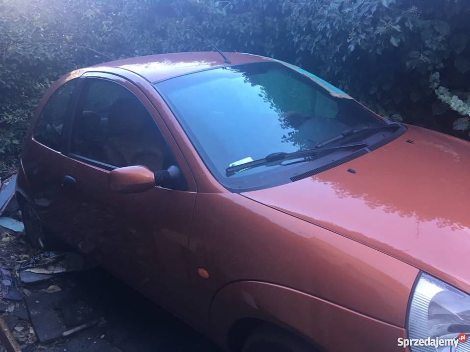 Sprzedam Ford Ka 2003 r uszkodzony 1299cm3 Poznań