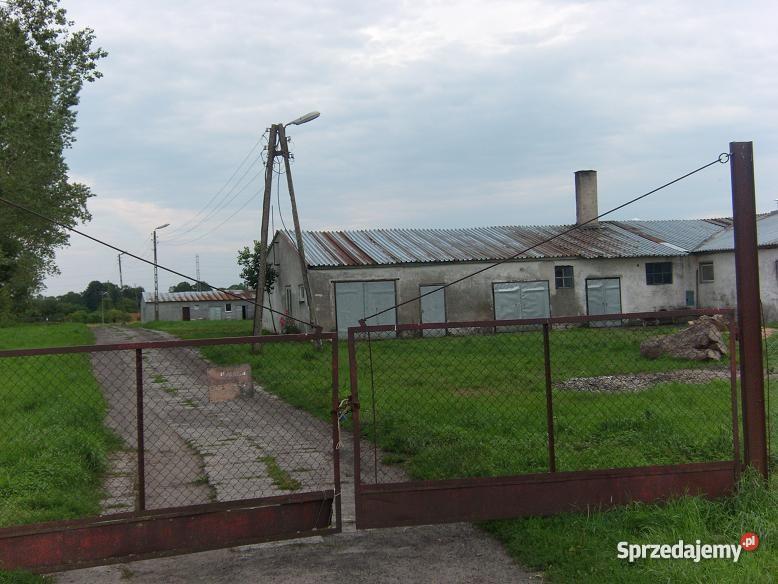 ferma drobiu kurnik kurniki hala produkcyjna Lokale użytkowe zachodniopomorskie Sławno sprzedam