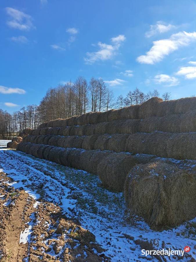 Sprzedam Słomę siano kiszonkę lubelskie Błonie sprzedam