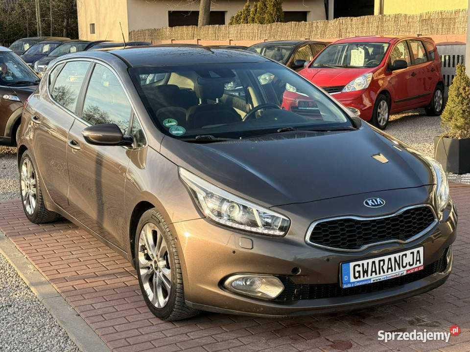 Kia Ceed Gwarancja Automat Super Wypas Xenon Sade Budy