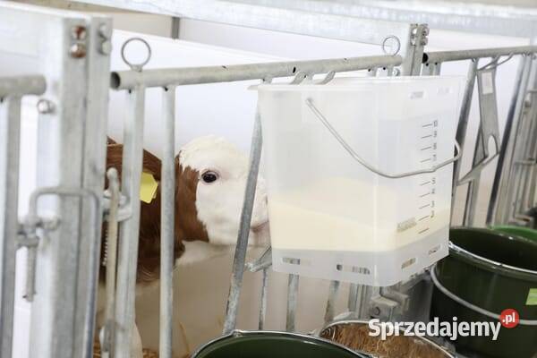 Wiadro do karmienia białe przezroczyste ze skalą małopolskie Kamionna