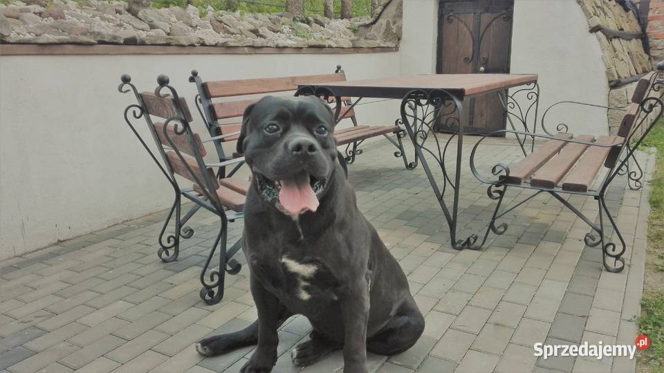 Meble ogrodowe stół ława krzesła na taras ogród Meble ogrodowe lubelskie sprzedam