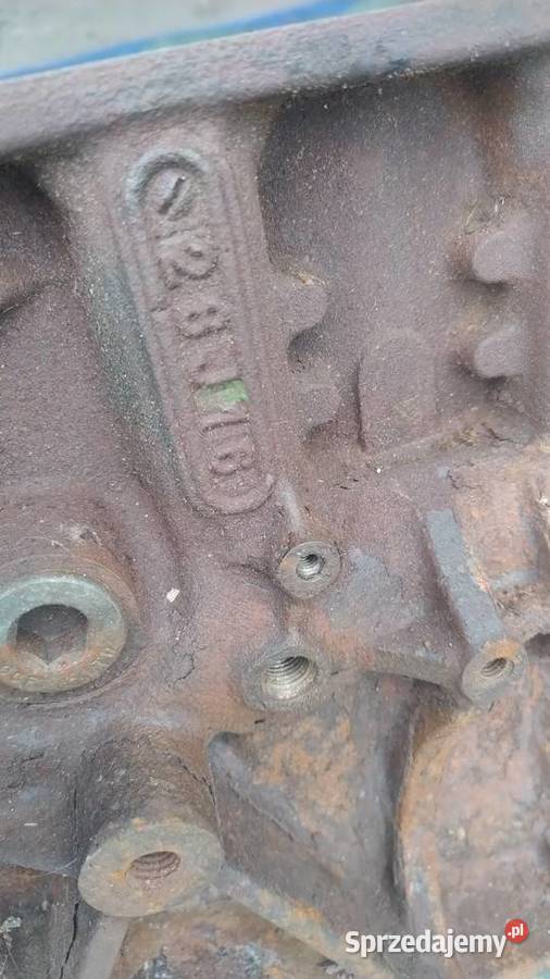 FORD TRANSIT MK8 CUSTOM 20 EcoBlue TDCI blok Silniki i osprzęt Obrzycko