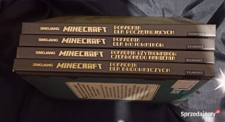 Minecraft twarda Poznań