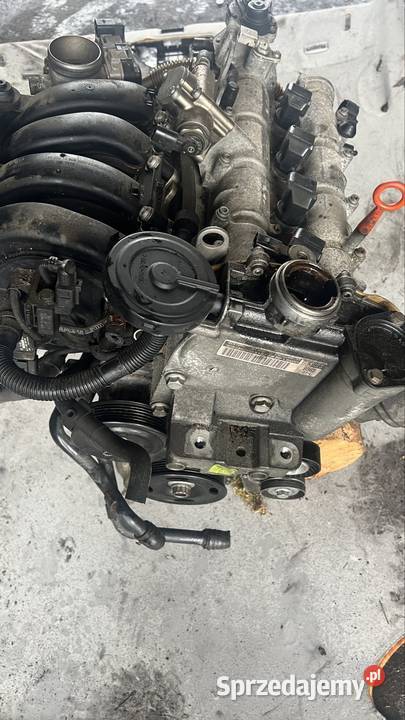 Silnik kompletny vw blf osobowe Silniki kompletne Margonin