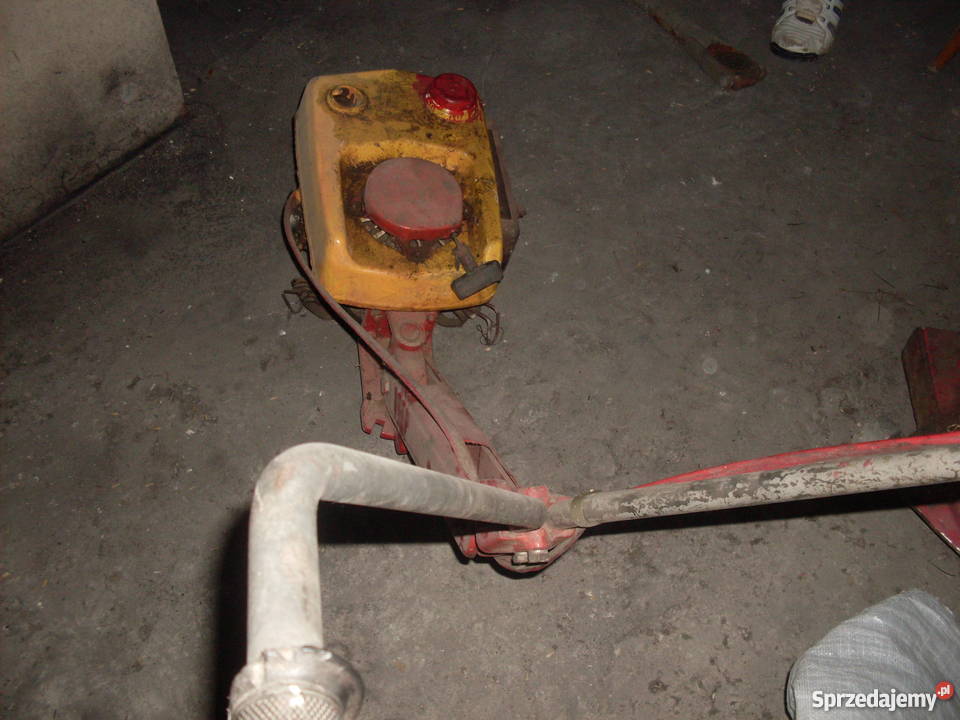 silnik terra vari podkarpackie