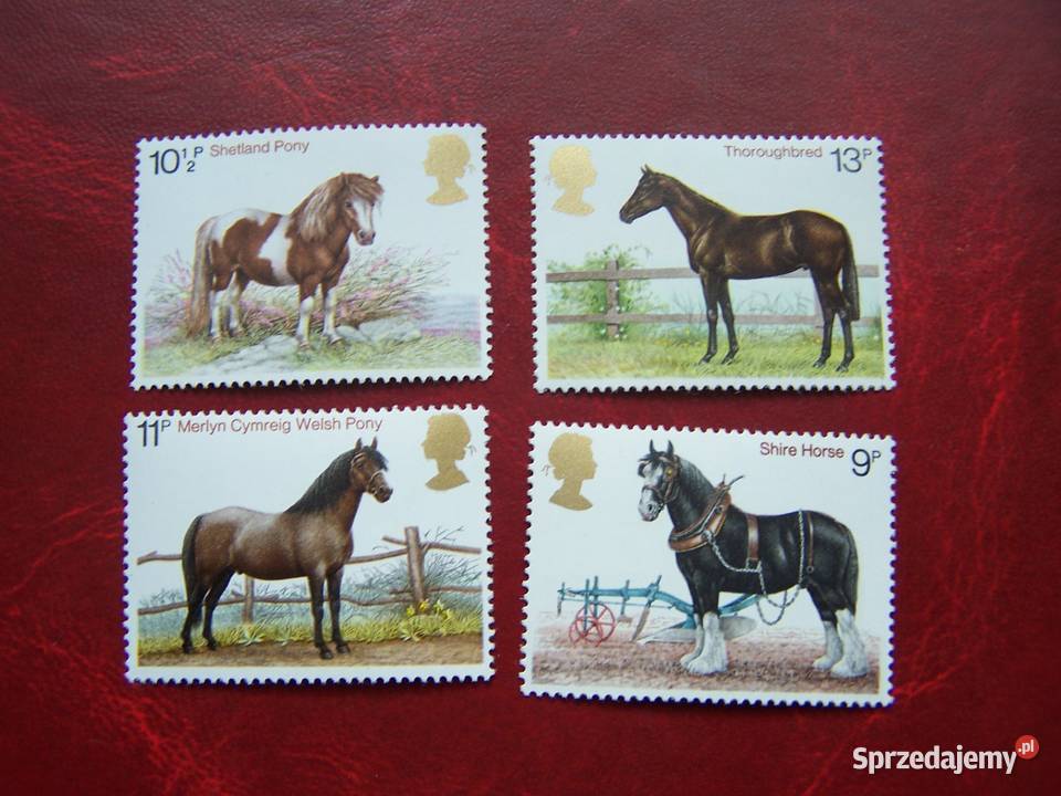 Wielka Brytania 1978 MNH Mi 76972 Fauna Konie Tychy