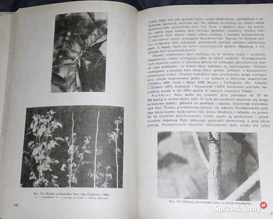 Fizjologia roślin sadowniczych Red Leszek