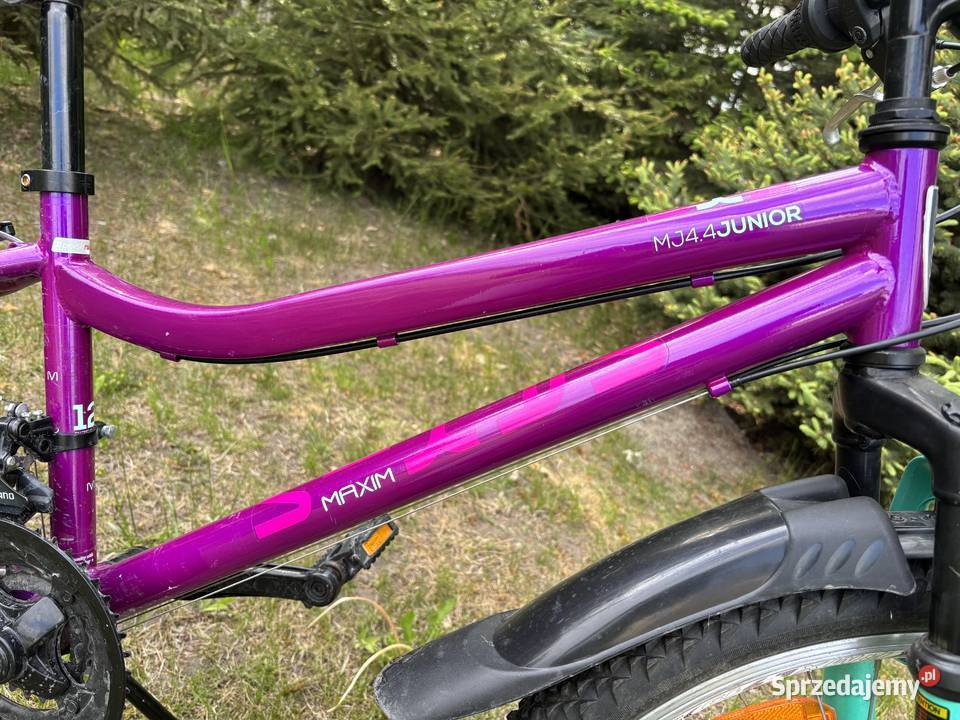 Rower młodzieżowy Łysomice sprzedam