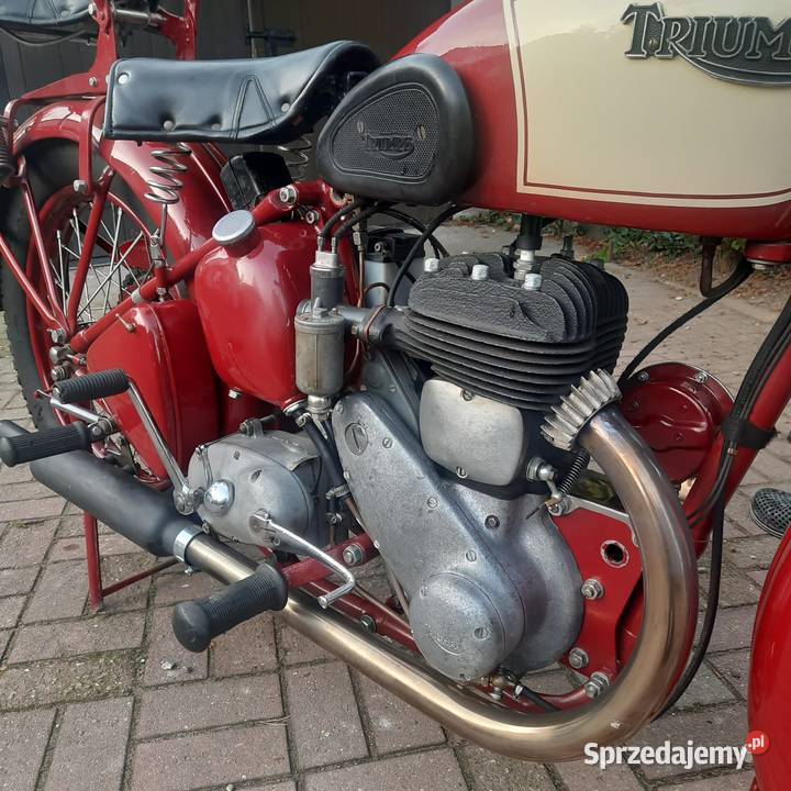 Triumph 6S 600ccm Triumph Kurzętnik