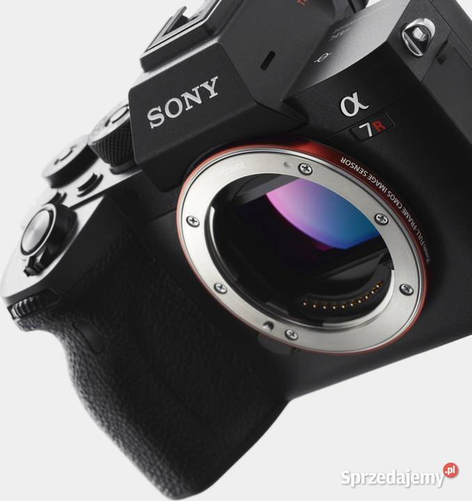 SONY Alpha A7R IV ILCE7RM4A Aparat 214 zdjęć