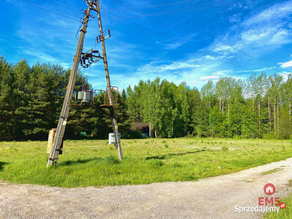 sprzedaży gruntu 3794m2 Katrynka sprzedam