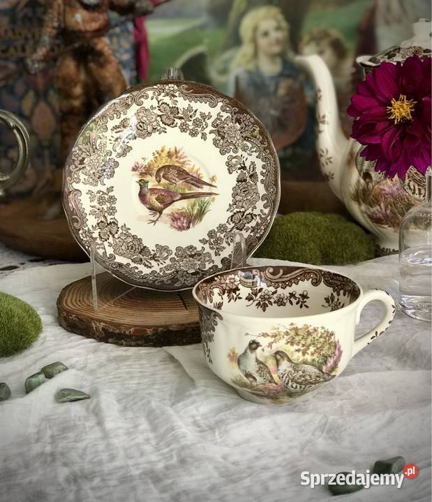 Filiżanka Royal Worcester Palissy porcelana Myszków