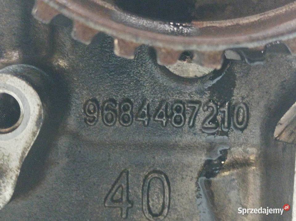 GŁOWICA KOMPLETNA 9684487210 16 TDCI Ford Fiesta osobowe sprzedam