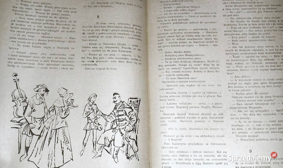 Przypadki starościca Wolskiego Tom 2 Józef Hen Chełm