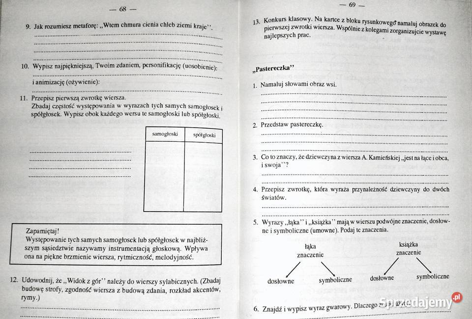Język polski Zeszyt ćwiczeń kl 6 cz 2 Czesława Chełm