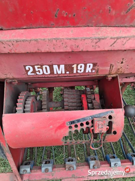 AktualneSiewnik Stegsted 25m