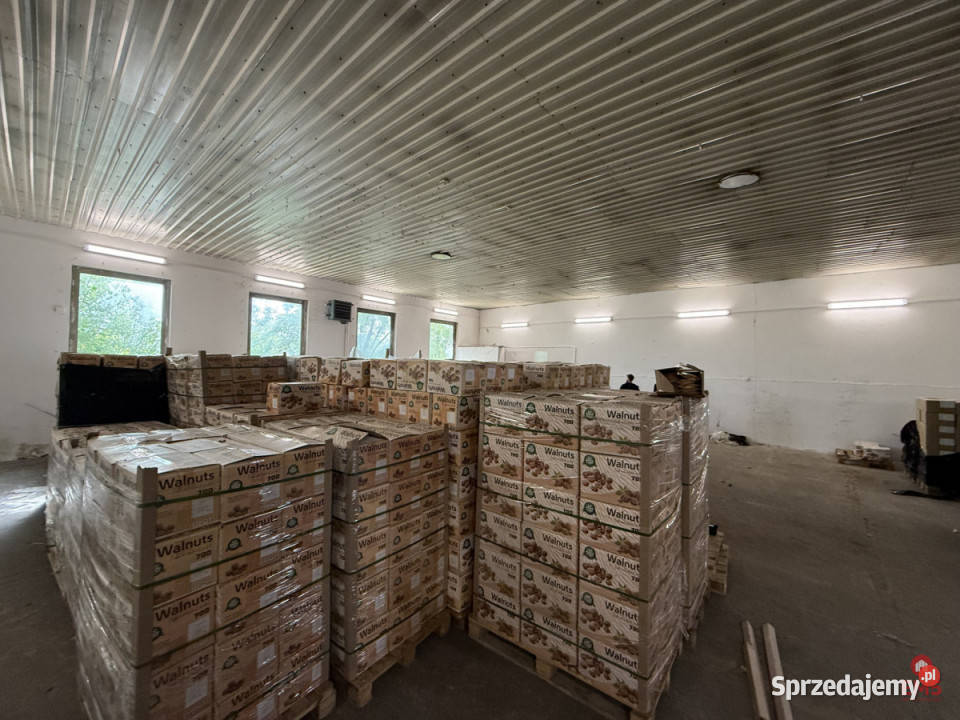 Wynajmę lokal 300m2 Białystok podlaskie