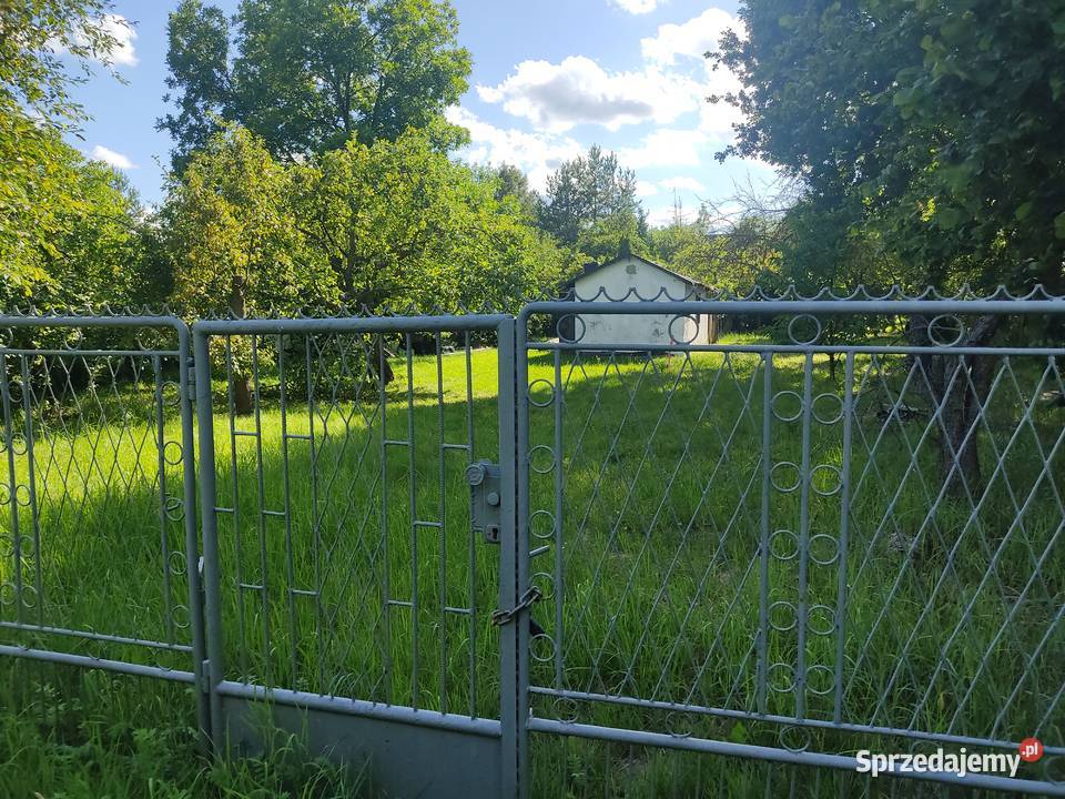 Duży ogródek działkowy ROD Sosnowiec 855m2 rekreacyjna