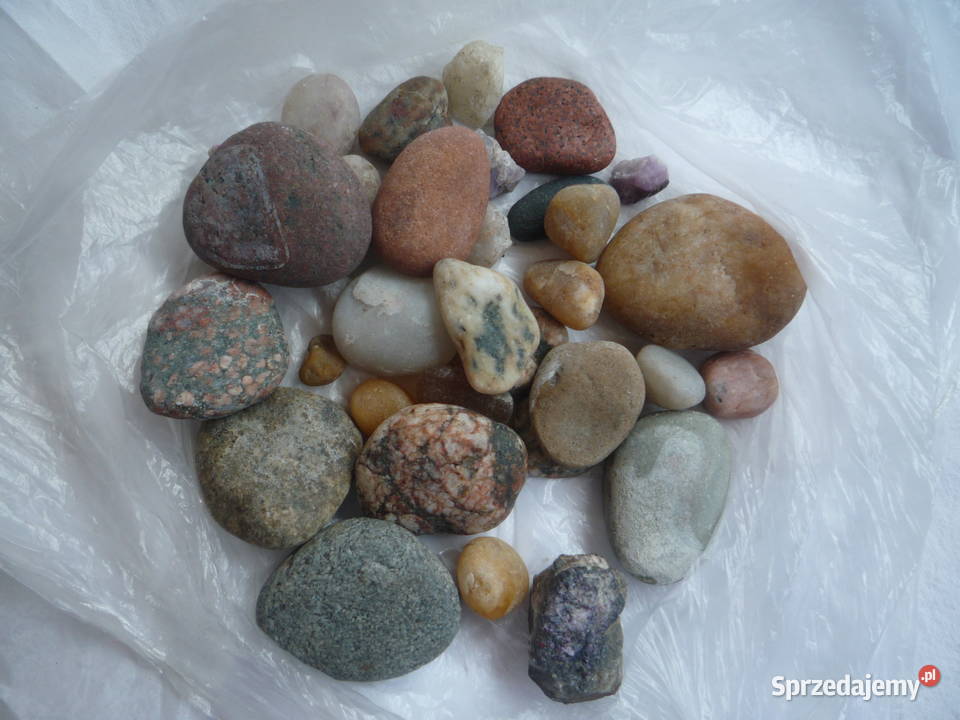 Ogród Las w szkle w słoiku Dekoracje i ozdoby