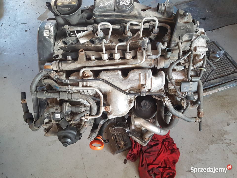 VW PASSAT B6 GOLF VI SILNIK 20 TDI CBD MOTOR CBD Turek sprzedam