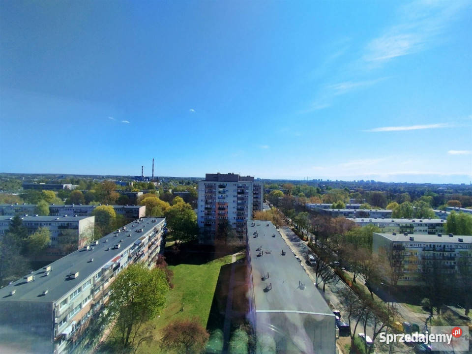 Do wynajęcia mieszkanie Łódź 6188m2 1 pokój Piętro 11