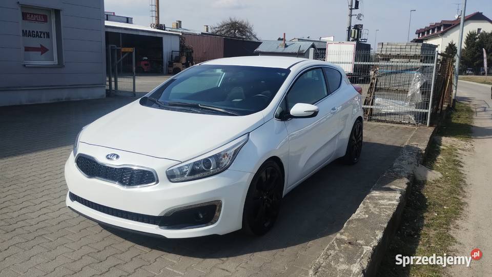Kia ProCeed niski przebieg Syców