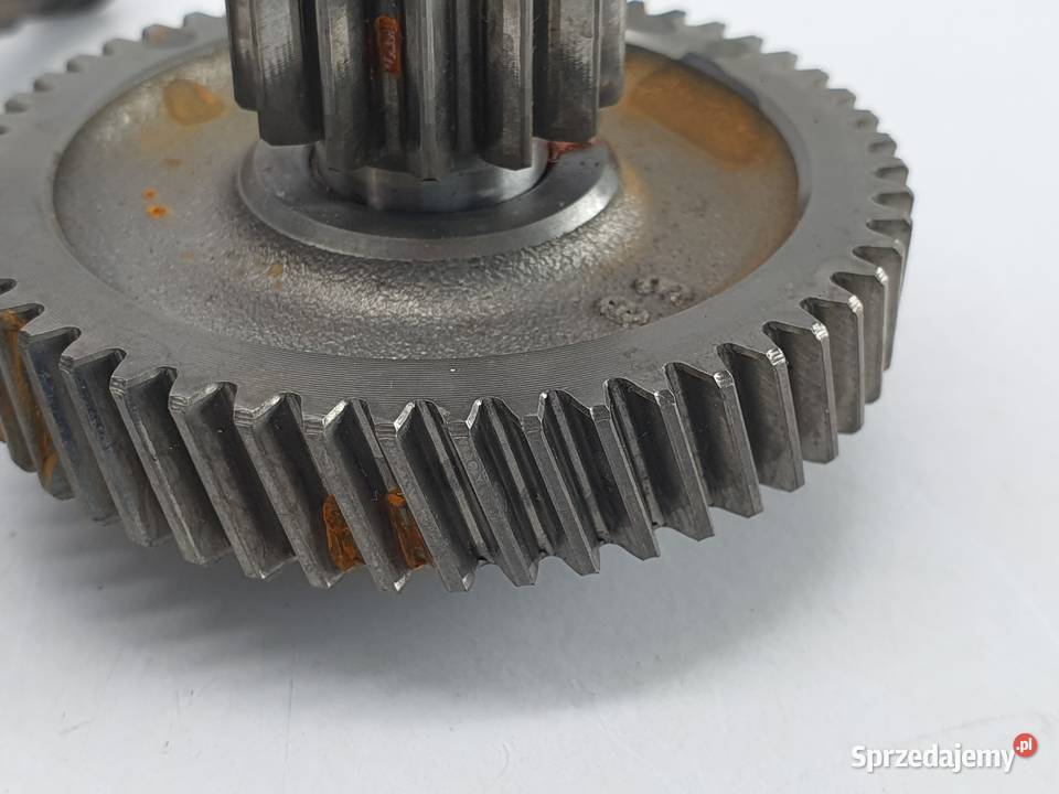 Tryb Zebatka Walek Napedowy Skrzynia Malaguti łódzkie Łódź