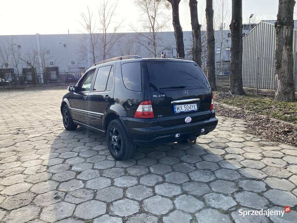 Czarny Menel idealny w teren Warszawa