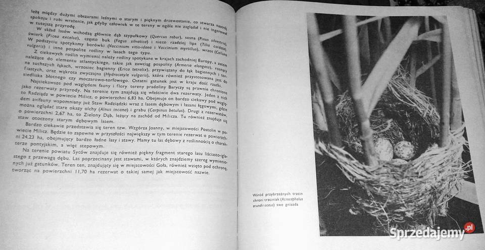 Skarby przyrody Dolnego Śląska Eugeniusz lubelskie Chełm