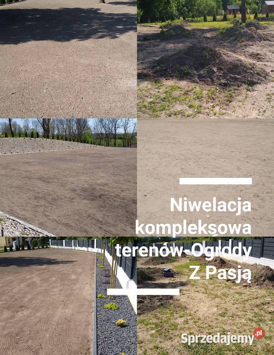 Ogrody trawniki systemy Nawadniające Usługi Usługi ogrodnicze Kielce ogród