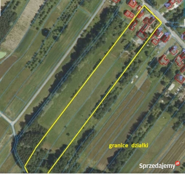 Siedlisko z dwoma domami prawie dwa hektary Biesiadki sprzedam