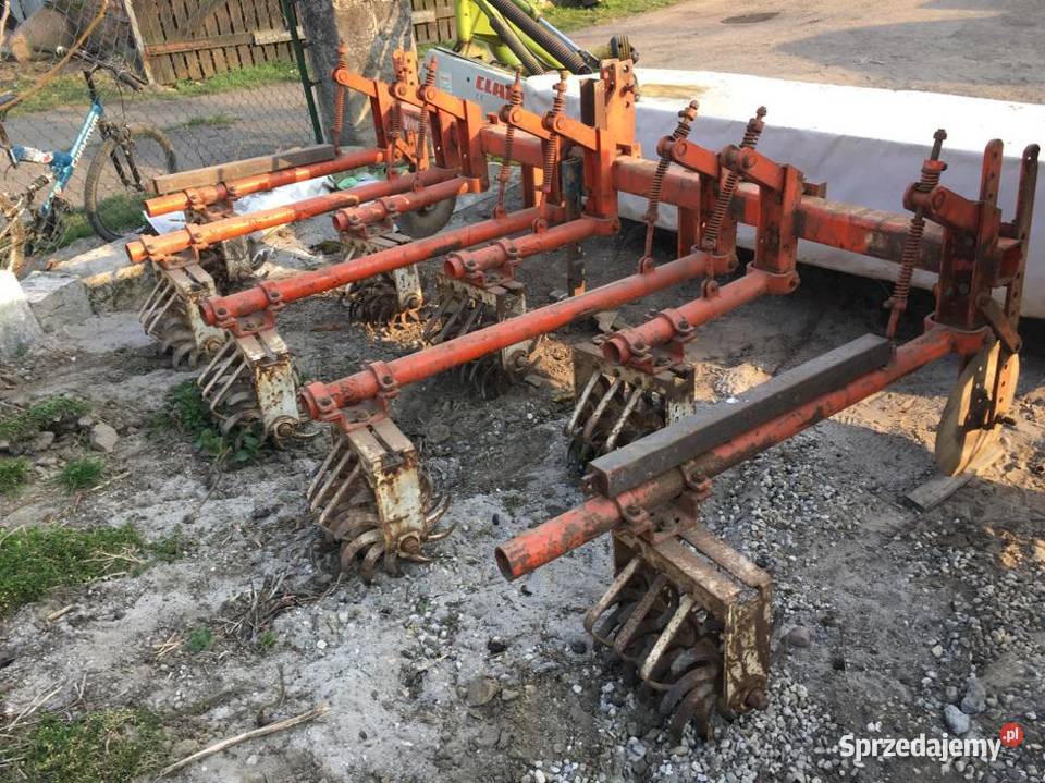 Pielnik do upraw rzędowych kukurydza Kurznie