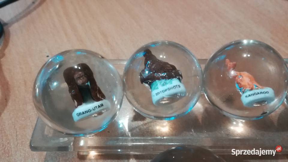 Szklane kulki kule ze zwierzętami Łódź