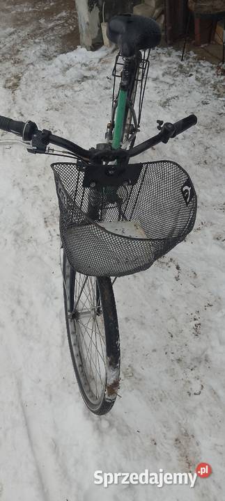 Rower miejski Augustów