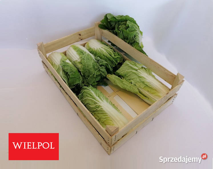 Sprzedam skrzynki drewniane z łuszczki Skrzynki i opakowania