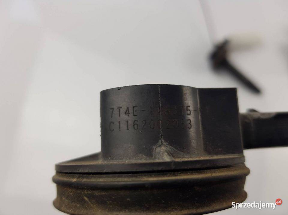CEWKA ZAPŁONOWA 7T4E12A375EE MUSTANG V 37 V6 osobowe Pozostałe