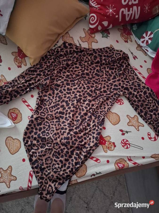 Body Puławy
