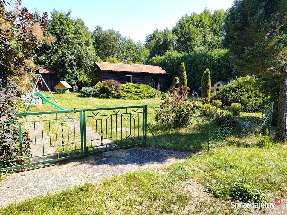 Sprzedam działkę ROD mazowieckie Żyrardów