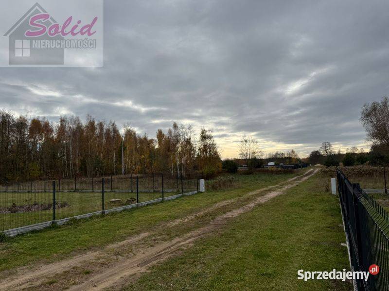 Dom lesie jeziora Koszelówka mazowieckie