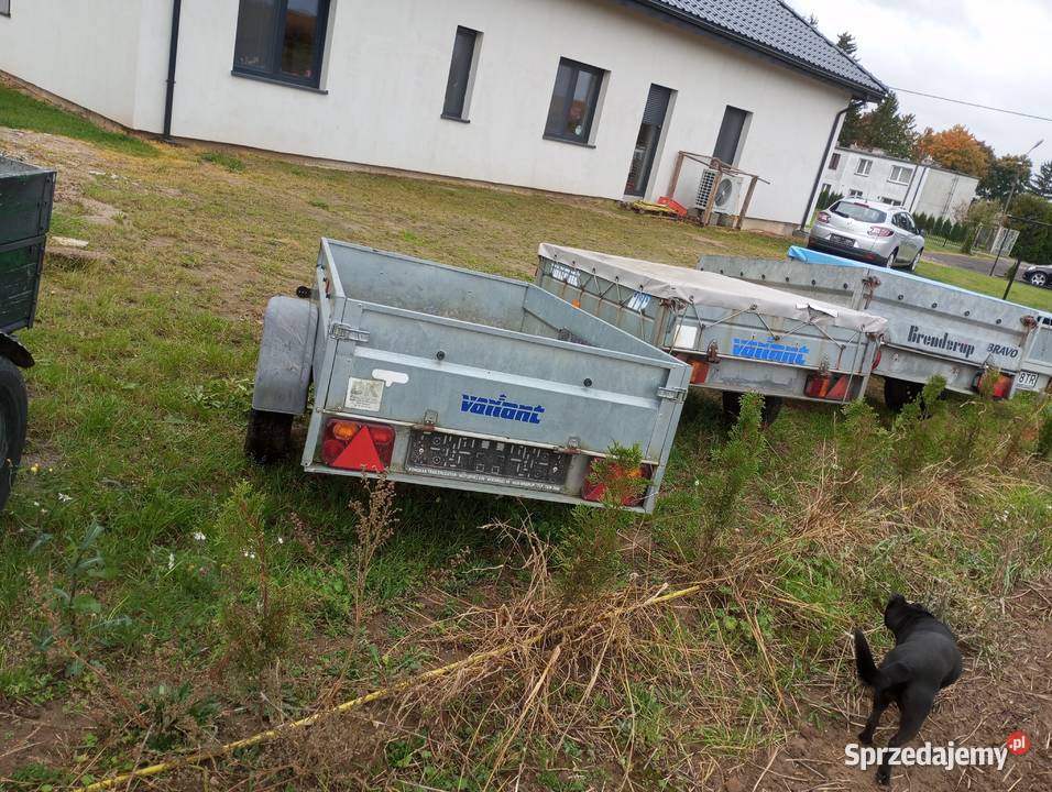 Przyczepa samochodowa przyczepka dokumenty Świecie nad Osą