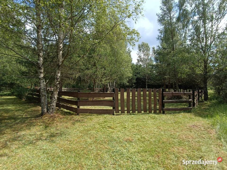 Piękna działka w spokojnej okolicy otoczona drewniane warmińsko-mazurskie Rekownica