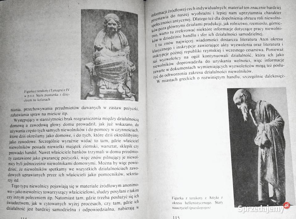 Niewolnictwo Iza BieżuńskaMałowist Marian Chełm sprzedam