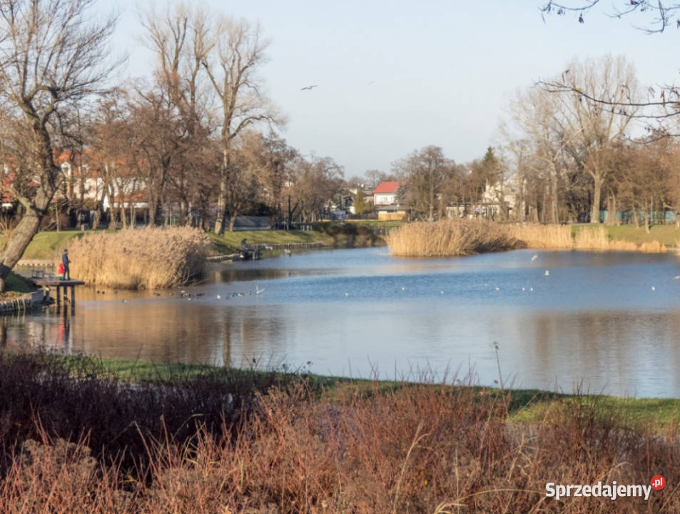 Sprzedam 4 pokoje Stawy Flat with 4 rooms Okazja 3 piętra i więcej Warszawa sprzedam