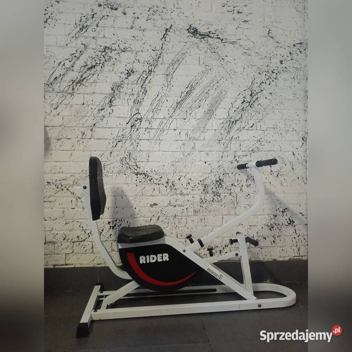 Horse Rider Wioślarz Rehabilitacja Wysyłka HIT dolnośląskie Głogów