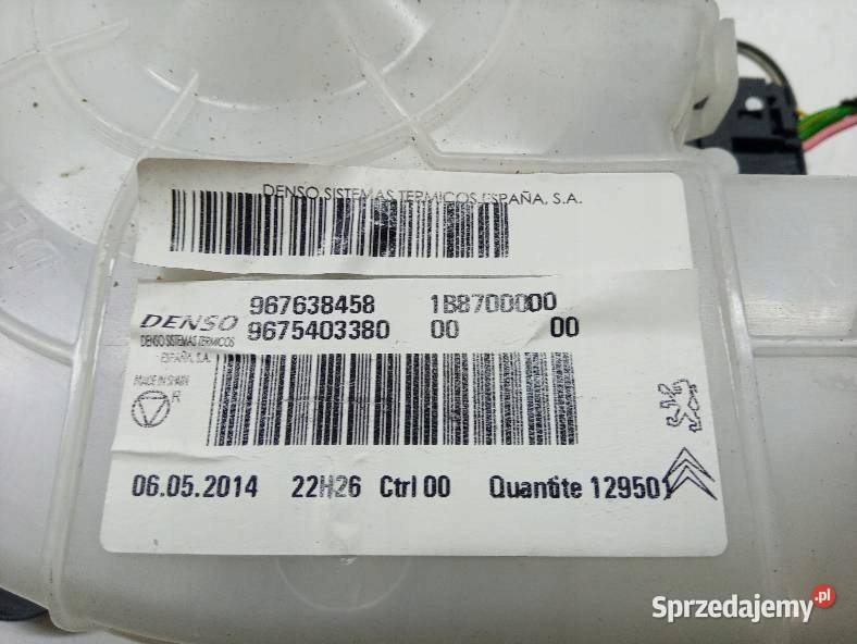 DMUCHAWA NAWIEWU 967638458 9675403380 Citroen C4 Rok produkcji 2014